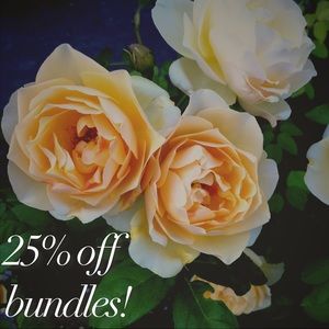 25% off bundles